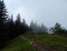 Fotos zur Rundwanderung Luftiger Grat zur Stiegalpe über Falkenhütte und Seelekopf