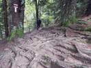 Fotos zur Rundwanderung Luftiger Grat zur Stiegalpe über Falkenhütte und Seelekopf