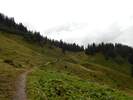Fotos zur Rundwanderung Diedamskopf Mittelstation zur Bergstation
