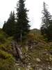 Fotos zur Rundwanderung Diedamskopf Mittelstation zur Bergstation