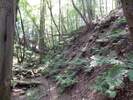 Fotos zur Rundwanderung durch die Margarethenschlucht zur Burgruine Dauchstein