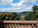 Bilder zur Rundweg Wanderung Miltenberg, Kloster Engelberg, Großheubach, Schloss Löwenstein