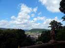 Bilder zur Rundweg Wanderung Miltenberg, Kloster Engelberg, Großheubach, Schloss Löwenstein