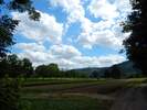 Bilder zur Rundweg Wanderung Miltenberg, Kloster Engelberg, Großheubach, Schloss Löwenstein