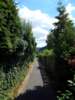 Bilder zur Rundweg Wanderung Miltenberg, Kloster Engelberg, Großheubach, Schloss Löwenstein