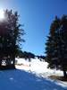 Bilder zu Ofterschwanger Horn und Sigiswanger Horn – Schneeschuhwanderung im Gunzesrieder Tal im Allgäu