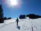Bilder zu Ofterschwanger Horn und Sigiswanger Horn – Schneeschuhwanderung im Gunzesrieder Tal im Allgäu