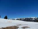Bilder zu Ofterschwanger Horn und Sigiswanger Horn – Schneeschuhwanderung im Gunzesrieder Tal im Allgäu