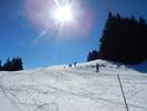 Bilder zu Ofterschwanger Horn und Sigiswanger Horn – Schneeschuhwanderung im Gunzesrieder Tal im Allgäu