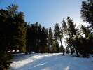 Bilder zu Ofterschwanger Horn und Sigiswanger Horn – Schneeschuhwanderung im Gunzesrieder Tal im Allgäu
