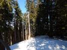 Bilder zu Ofterschwanger Horn und Sigiswanger Horn – Schneeschuhwanderung im Gunzesrieder Tal im Allgäu