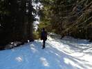 Bilder zu Ofterschwanger Horn und Sigiswanger Horn – Schneeschuhwanderung im Gunzesrieder Tal im Allgäu