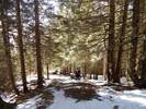 Bilder zu Ofterschwanger Horn und Sigiswanger Horn – Schneeschuhwanderung im Gunzesrieder Tal im Allgäu