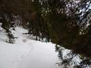 Bilder zu Ofterschwanger Horn und Sigiswanger Horn – Schneeschuhwanderung im Gunzesrieder Tal im Allgäu