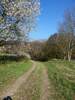 Bilder zu Wispertalsteig Premiumwanderweg im Naturpark Rhein-Taunus
