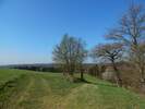 Bilder zu Wispertalsteig Premiumwanderweg im Naturpark Rhein-Taunus