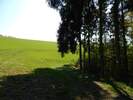 Bilder zu Wispertalsteig Premiumwanderweg im Naturpark Rhein-Taunus