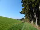 Bilder zu Wispertalsteig Premiumwanderweg im Naturpark Rhein-Taunus
