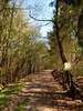 Bilder zu Wispertalsteig Premiumwanderweg im Naturpark Rhein-Taunus