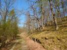 Bilder zu Wispertalsteig Premiumwanderweg im Naturpark Rhein-Taunus