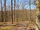 Bilder zu Wispertalsteig Premiumwanderweg im Naturpark Rhein-Taunus