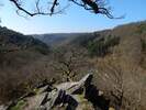 Bilder zu Wispertalsteig Premiumwanderweg im Naturpark Rhein-Taunus