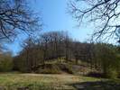 Bilder zu Wispertalsteig Premiumwanderweg im Naturpark Rhein-Taunus