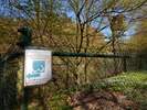 Bilder zu Wispertalsteig Premiumwanderweg im Naturpark Rhein-Taunus