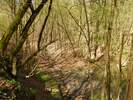 Bilder zu Wispertalsteig Premiumwanderweg im Naturpark Rhein-Taunus