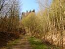 Bilder zu Wispertalsteig Premiumwanderweg im Naturpark Rhein-Taunus
