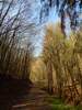 Bilder zu Wispertalsteig Premiumwanderweg im Naturpark Rhein-Taunus