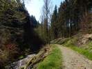 Bilder zu Wispertalsteig Premiumwanderweg im Naturpark Rhein-Taunus