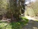 Bilder zu Wispertalsteig Premiumwanderweg im Naturpark Rhein-Taunus