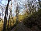 Bilder zu Wispertalsteig Premiumwanderweg im Naturpark Rhein-Taunus