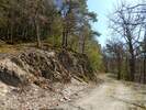 Bilder zu Wispertalsteig Premiumwanderweg im Naturpark Rhein-Taunus