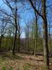 Bilder zu Wispertalsteig Premiumwanderweg im Naturpark Rhein-Taunus