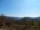 Bilder zu Wispertalsteig Premiumwanderweg im Naturpark Rhein-Taunus