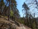 Bilder zu Wispertalsteig Premiumwanderweg im Naturpark Rhein-Taunus