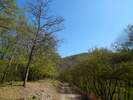Bilder zu Wispertalsteig Premiumwanderweg im Naturpark Rhein-Taunus