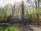 Bilder zu Wispertalsteig Premiumwanderweg im Naturpark Rhein-Taunus