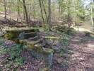 Bilder zu Wispertalsteig Premiumwanderweg im Naturpark Rhein-Taunus