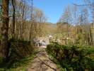 Bilder zu Wispertalsteig Premiumwanderweg im Naturpark Rhein-Taunus