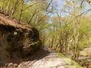 Bilder zu Wispertalsteig Premiumwanderweg im Naturpark Rhein-Taunus