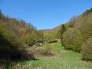 Bilder zu Wispertalsteig Premiumwanderweg im Naturpark Rhein-Taunus