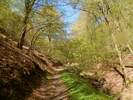 Bilder zu Wispertalsteig Premiumwanderweg im Naturpark Rhein-Taunus