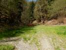 Bilder zu Wispertalsteig Premiumwanderweg im Naturpark Rhein-Taunus
