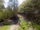 Bilder zu Wispertalsteig Premiumwanderweg im Naturpark Rhein-Taunus