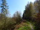 Bilder zu Wispertalsteig Premiumwanderweg im Naturpark Rhein-Taunus
