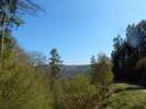 Bilder zu Wispertalsteig Premiumwanderweg im Naturpark Rhein-Taunus