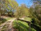 Bilder zu Wispertalsteig Premiumwanderweg im Naturpark Rhein-Taunus